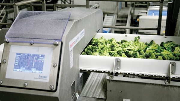 Máy dò kim loại cho nông sản đảm bảo chất lượng thực phẩm