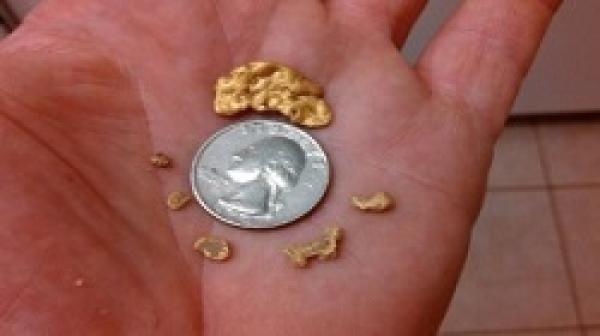 Cách tìm vàng cốm nhờ sử dụng máy dò Gold Bug Pro