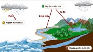 Mạch nước ngầm là gì? Cách tìm mạch nước ngầm để khoan giếng chính xác 100%